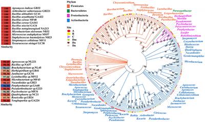 Insight Into Microbial Community Aerosols Associated With Electronic Waste Handling Facilities by Culture-Dependent and Culture-Independent Methods